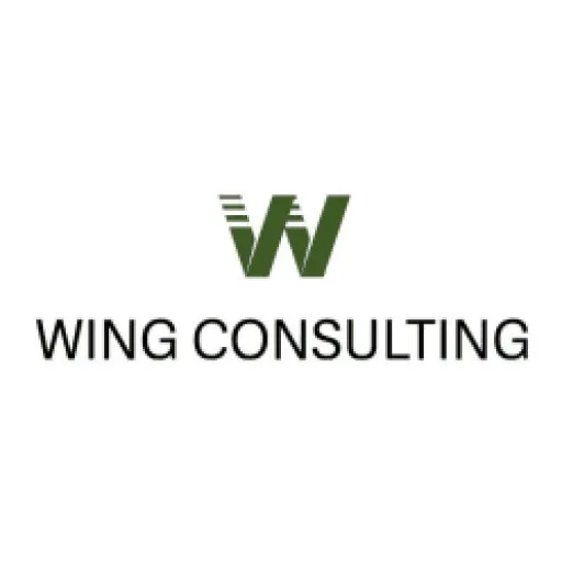 Wing Consulting AG