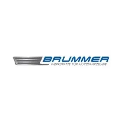 Brummer Reparatur AG
